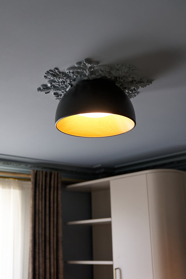 Lumina Ceiling Light