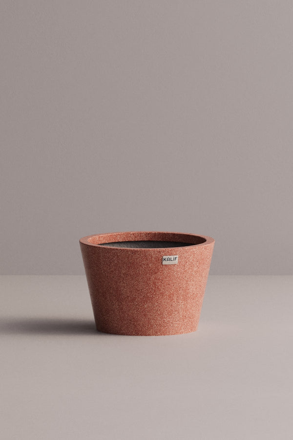 Flora